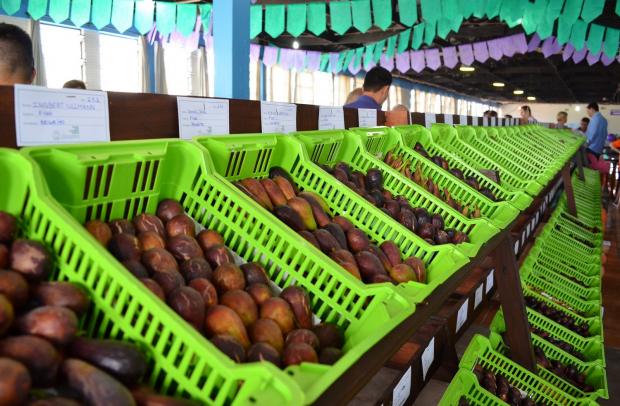 FOTO: Marcelo Moura/Arquivo | Comunicação PMNP